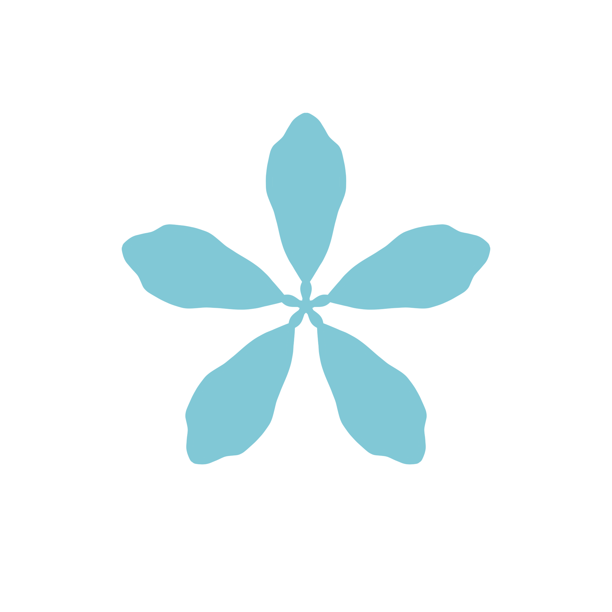 Grace’s wordmark